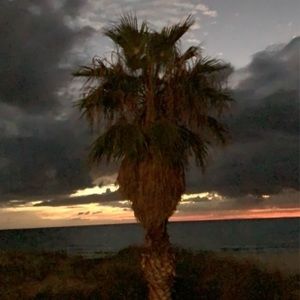 Meet your Posher, Parker